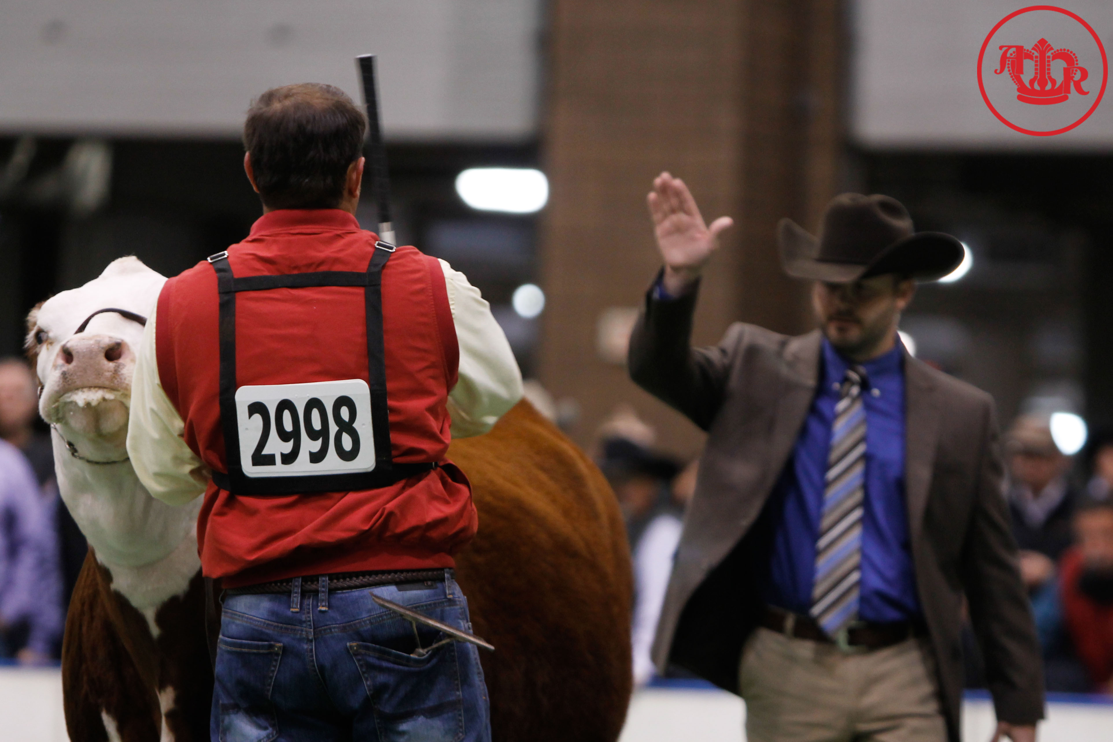 National Hereford Show Ends As American Royal Winds Down