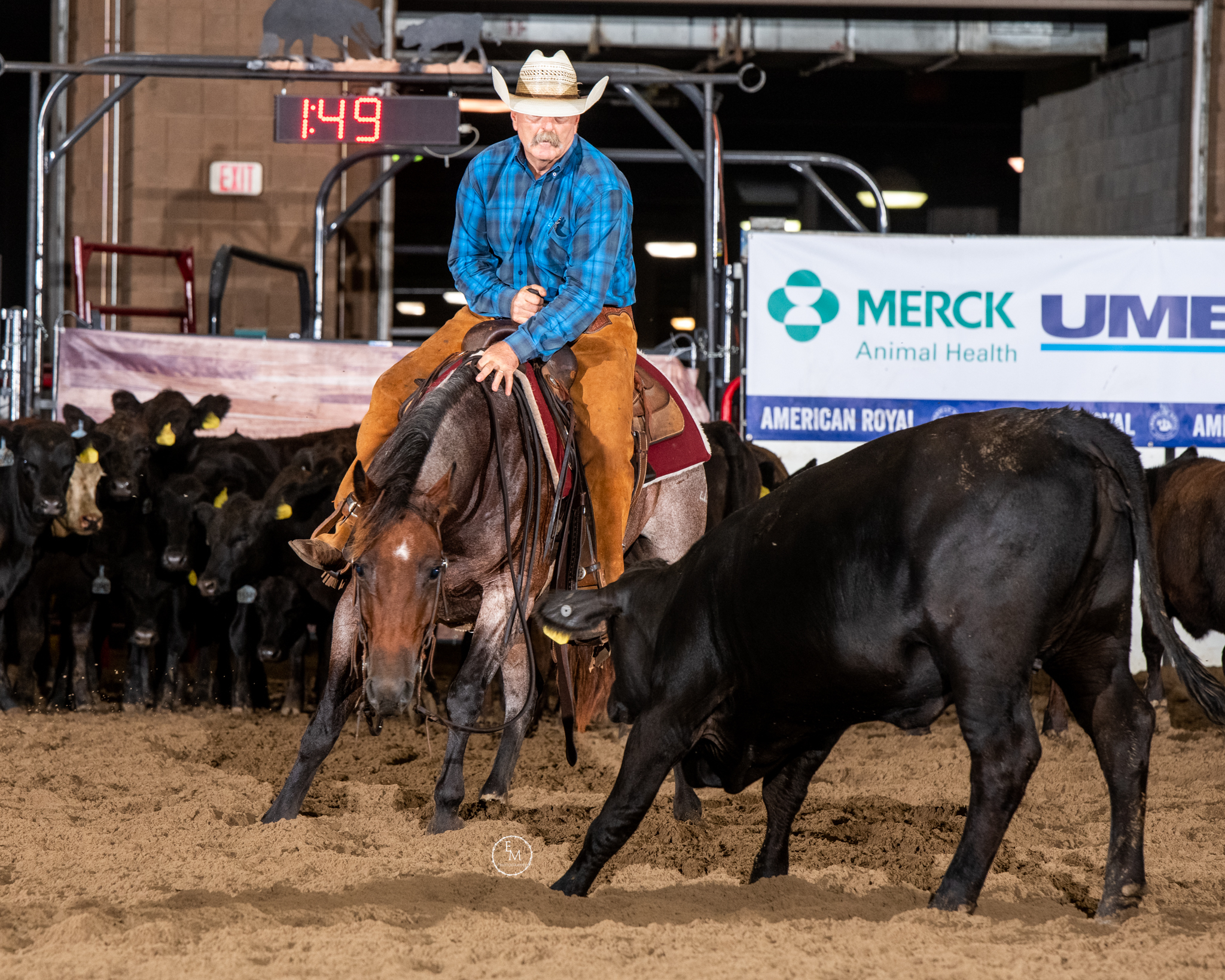 American Royal Released Emj 2381 3